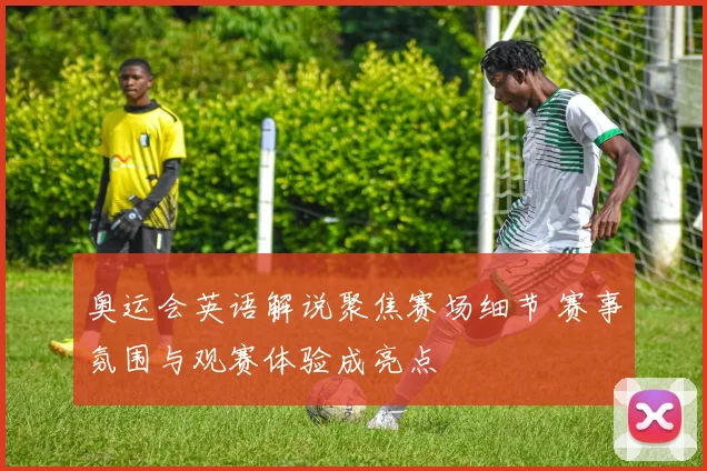 奥运会英语解说聚焦赛场细节 赛事氛围与观赛体验成亮点