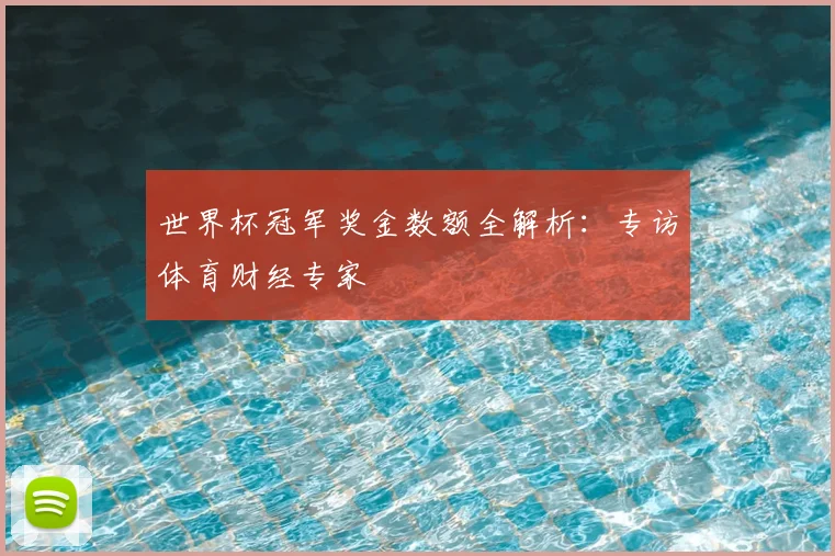 世界杯冠军奖金数额全解析：专访体育财经专家