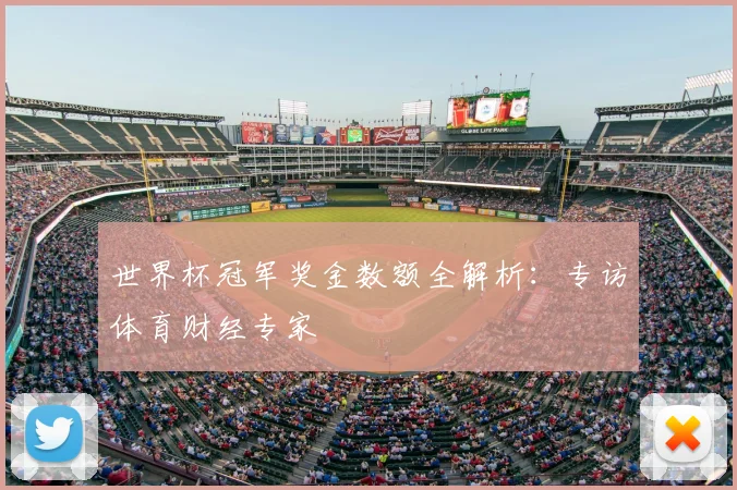 世界杯冠军奖金数额全解析：专访体育财经专家