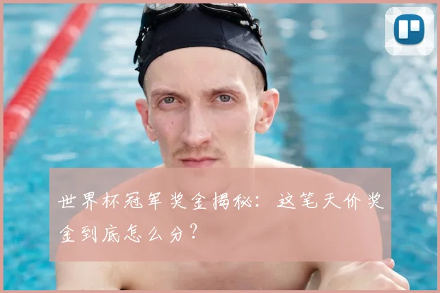 世界杯冠军奖金揭秘：这笔天价奖金到底怎么分？