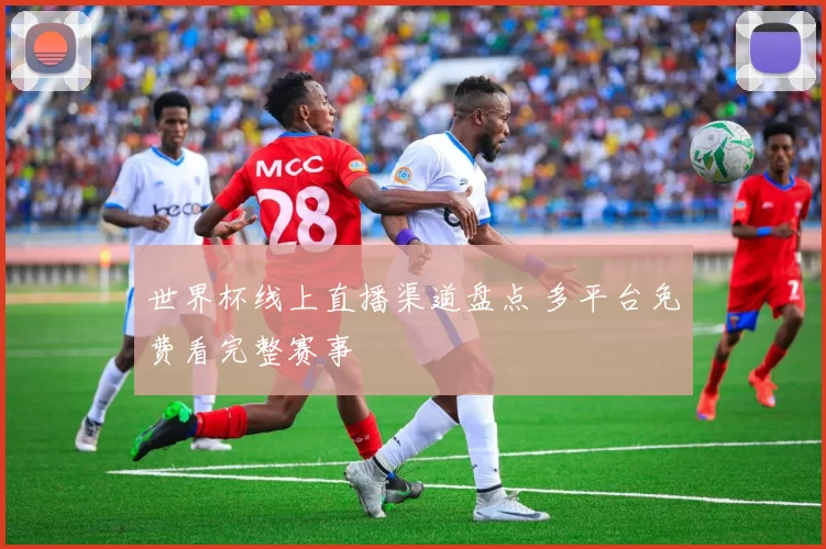 世界杯线上直播渠道盘点 多平台免费看完整赛事