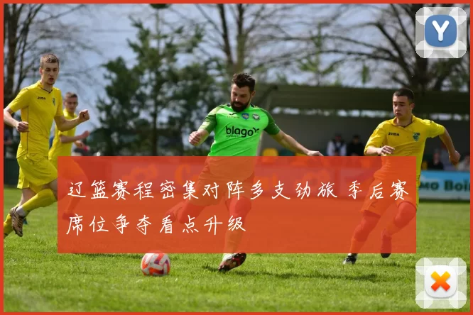 辽篮赛程密集对阵多支劲旅 季后赛席位争夺看点升级