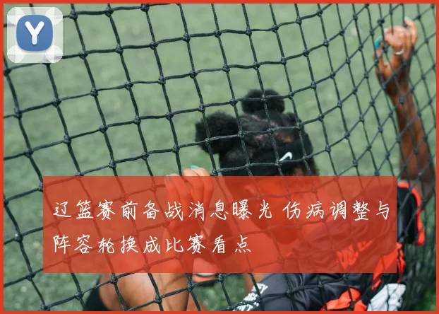 辽篮赛前备战消息曝光 伤病调整与阵容轮换成比赛看点