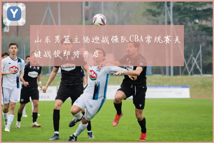 山东男篮主场迎战强队CBA常规赛关键战役即将开启