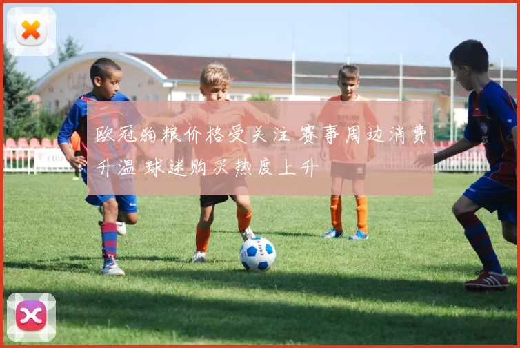 欧冠狗粮价格受关注 赛事周边消费升温 球迷购买热度上升