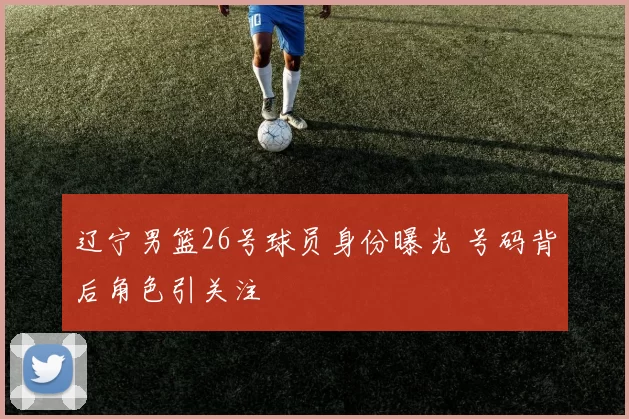 辽宁男篮26号球员身份曝光 号码背后角色引关注