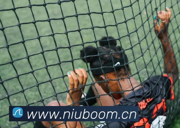 App Interface Preview